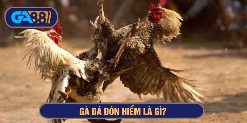 Gà đá đòn hiểm là gì