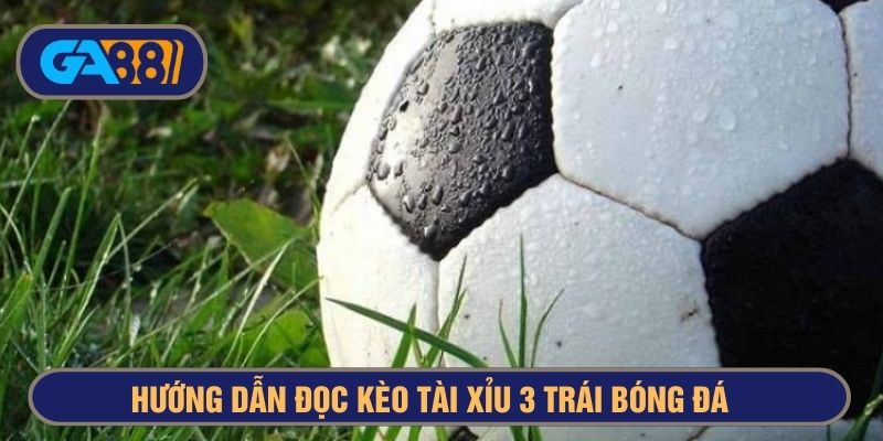 Hướng dẫn đọc kèo tài xỉu 3 trái