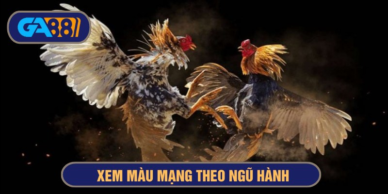 Phong thuỷ gà đá theo ngũ hành